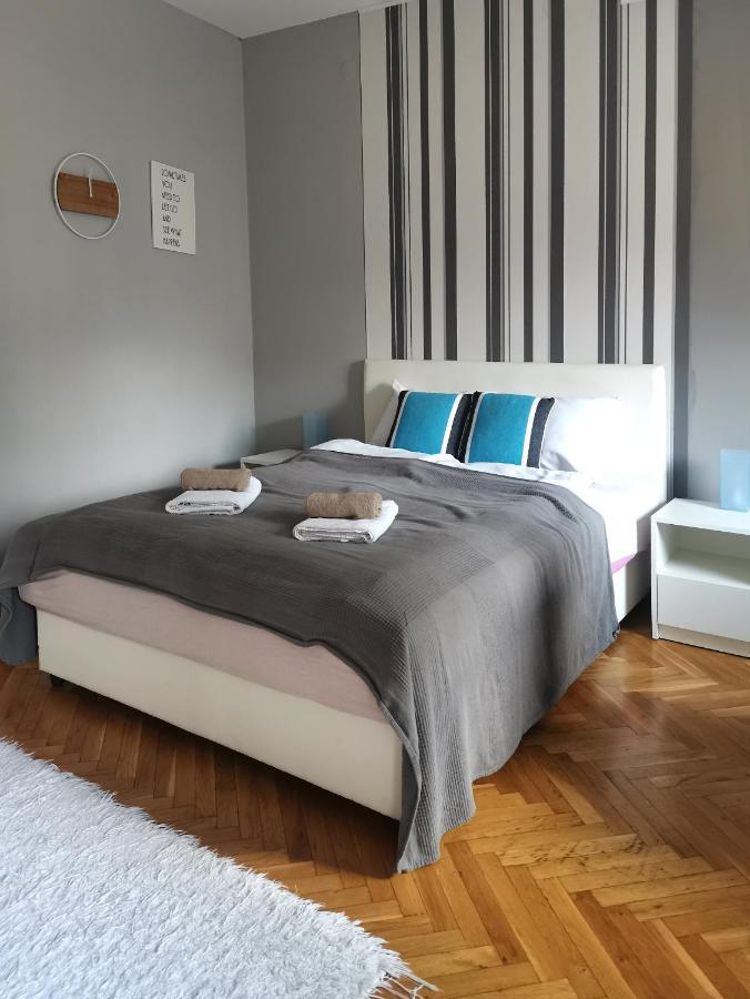 Center Iva Novi Sad